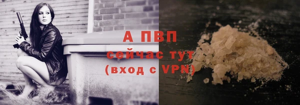 эйфоретик Анжеро-Судженск