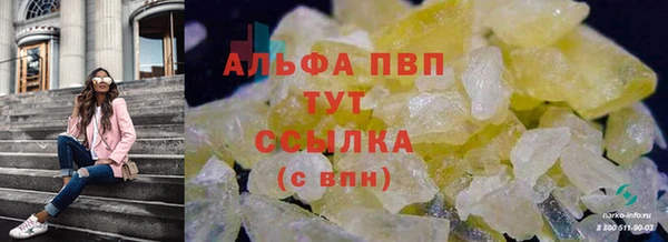 гидра Нефтекумск
